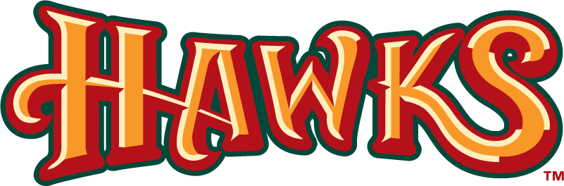 Boise Hawks 2007-Pres Wordmark Logo iron on transfers for T-shirts